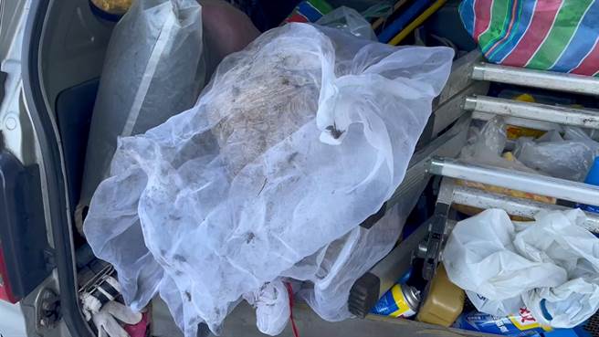 基隆市中正區發現虎頭蜂窩，基隆市政府18日晚上拉起警戒線，19日上午便摘除蜂窩。（翻攝照片／張志康基隆傳真）