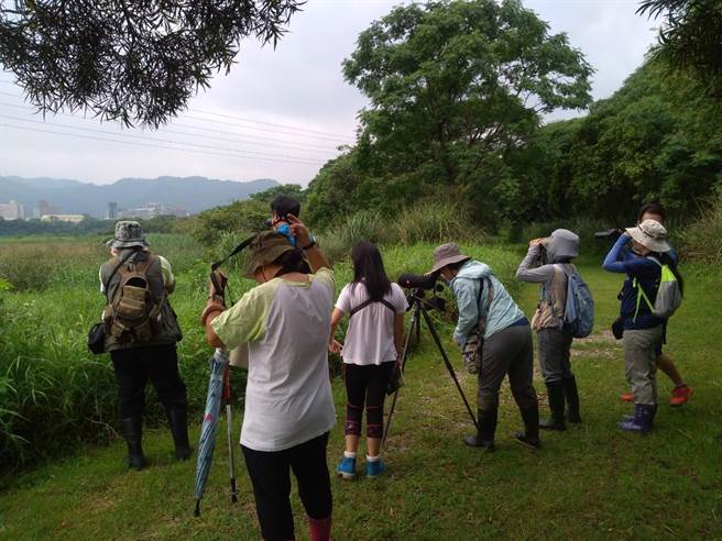 淡水河鸟类同步调查活动。（新北市高滩处提供／蔡亚桦新北传真）