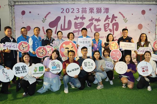 苗栗獅潭仙草花節11月25日、26日登場。（苗栗縣政府提供／李京昇苗栗傳真）