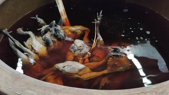 乌骨鸡酒是当地知名产业链产品之一，图为示范捞出正在酒中浸泡制作的乌骨鸡。（吴泓勋摄）★《中时新闻网》关心您：饮酒过量，有碍健康。酒后不开车，安全有保障！