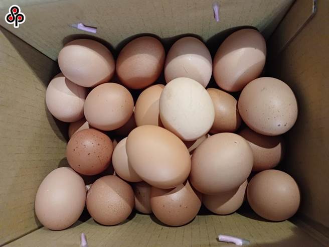 据农业部公布指出，截至10月4日为止，共专案进口1.5亿余颗鸡蛋，其中耗损及到期达5622万颗，包括已销毁的193万颗及5429万颗待销毁。（报系资料照）