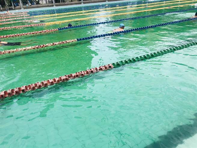 桃园市立游泳池遭反映水质混浊不清。（市议员余信宪提供／陈梦茹桃园传真）