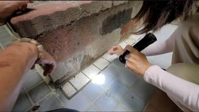 高雄市府防疫团队于凤山一处社区大楼发现积水，并有病媒蚊孑孓孳生，将依照传染病防治法规定开罚。（卫生局提供／任义宇高雄报导）