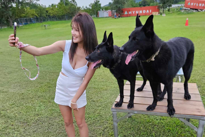 猫猫与搜救犬自拍。（Kai-yi Chen提供）