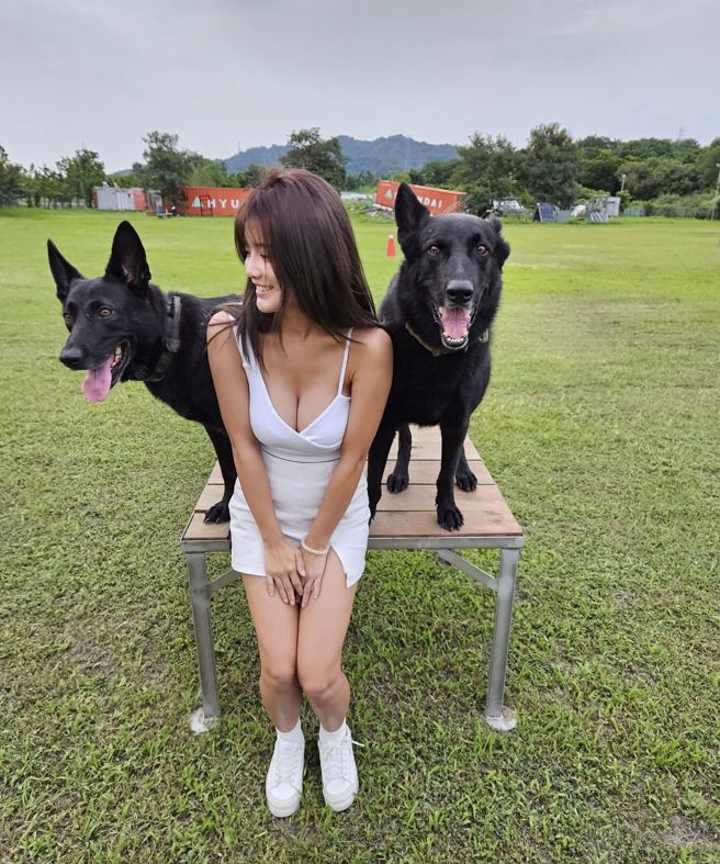 猫猫与搜救犬合拍。（Kai-yi Chen提供）