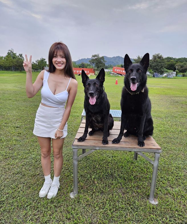 猫猫与搜救犬合拍。（Kai-yi Chen提供）