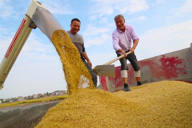 大陸今年糧食產量有望再創歷史新高，連續9年保持在1.3兆斤以上。（摘自新華社）