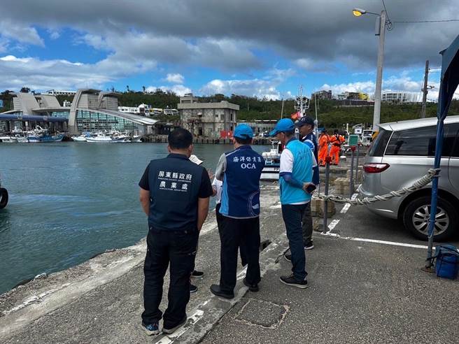海洋委员会海保署22日动员相关单位至现场展开救援海豚行动。（海保署提供／林瑞益高雄传真）