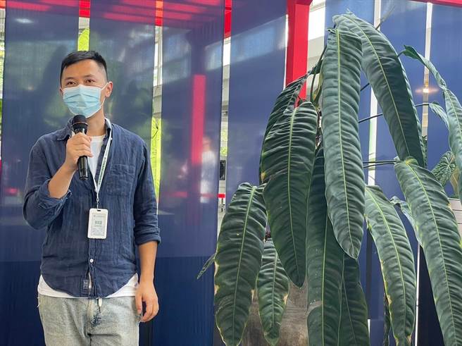 2023台湾热带雨林暨观叶植物精品大赏28日至30日将在埔里花卉物流中心登场，此照片为去年活动情况。（埔里镇公所提供／杨静茹南投传真）