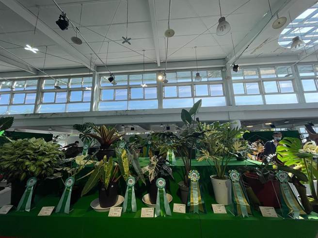 台湾热带雨林暨观叶植物精品大赏活动期间，将举行植物导览解说、座谈会、演讲、免费手作DIY，户外还有美食市集。（埔里镇公所提供／杨静茹南投传真）