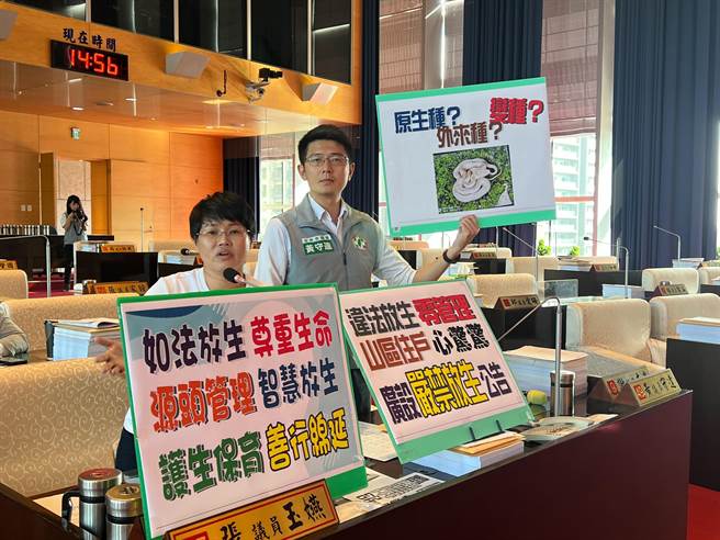 台中市議員張玉嬿、黃守達等人23日在議會質詢指出，台中市太平山區近日陸續有民眾發現蛇出沒，有人1周內就看到多達12尾。(林欣儀攝)