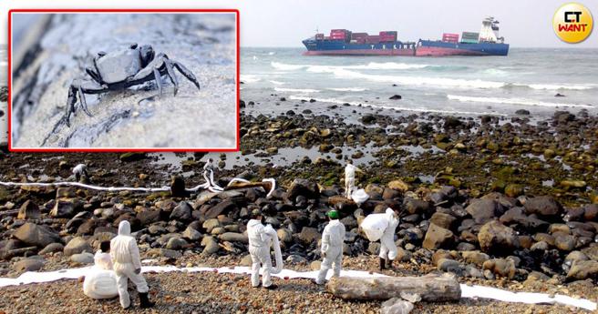 德翔台北轮搁浅后，船上油料外泄造成海岸生态浩劫。（图／翻摄环境资讯中心官网）