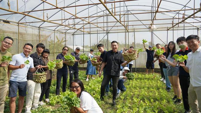 青年事务委员下田亲手採摘蔬菜。（图片来源：高雄市青年局提供）
