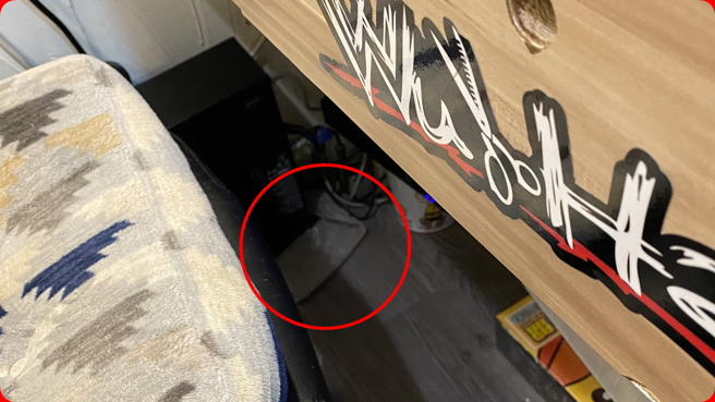 员工电话里称柜台底下有蛇，还有很大片的蛇皮。（图／翻摄自爆废公社二馆）