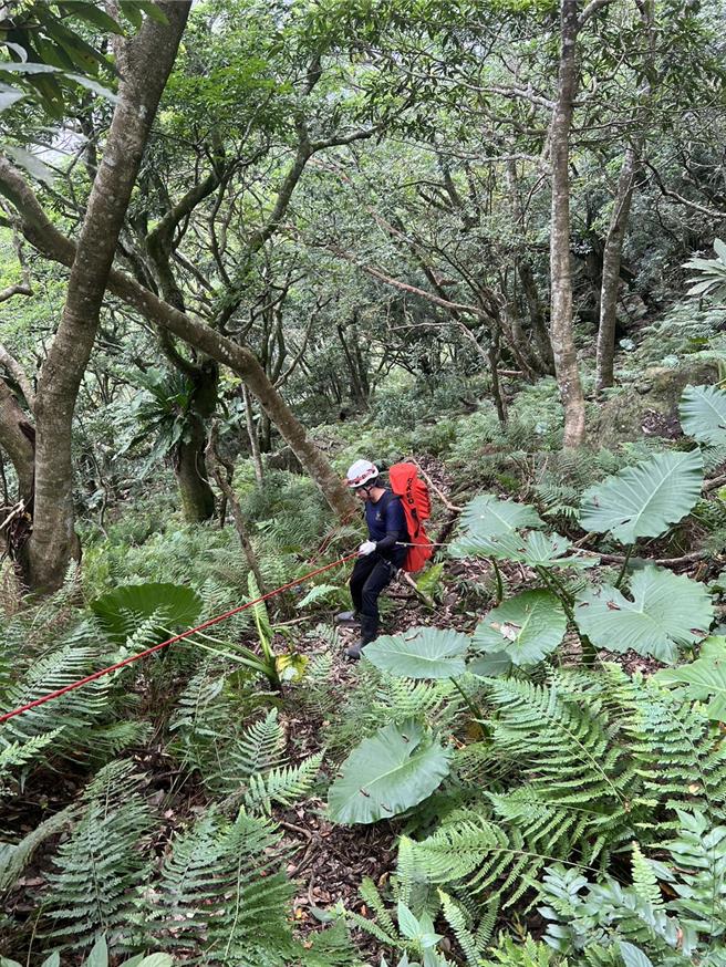 一行3人登山隊伍今到花蓮縣秀林鄉攀登錐麓古道，其中一名男山友途中不慎墜落30米深山谷，經救難隊員下切接觸人時，已失去呼吸心跳，目前正持續下降救援。（花蓮縣消防局提供／羅亦晽花蓮傳真）
