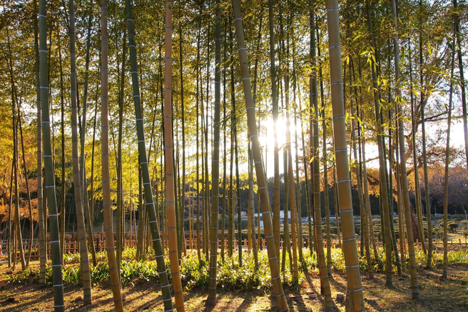 運勢不會永遠受阻，懂得抓住機會，大運就在眼前。（示意圖/達志影像/shutterstock)