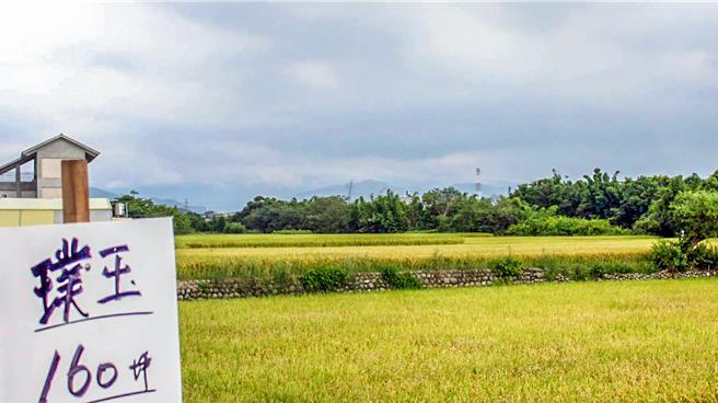 新竹县政府提出「台湾智慧旗舰园区（璞玉计画）又被内政部专业小组退回修正，将办理第14次反对者意愿调查。（罗浚滨摄）