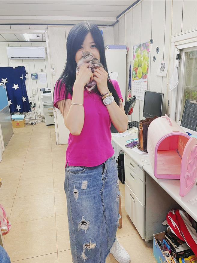 新北市动保志工陈奕霏救援小猫已18年。（新北市动保处提供）