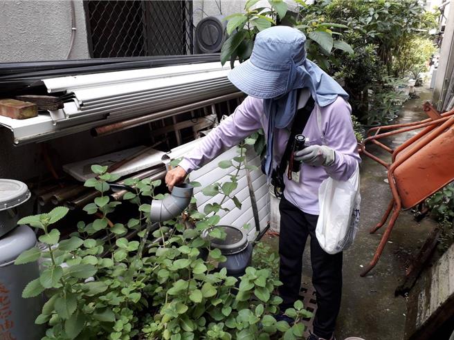 台南本土登革热病例数累计1万6944例，其中已有31人死亡，登革热防治工作持续4个多月不歇。（台南市卫生局提供／曹婷婷台南传真）