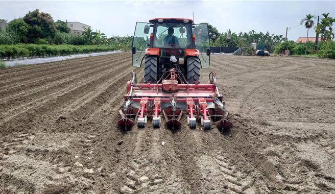 美浓白玉萝卜原本每年9月底开始种植，但近来高雄市美浓区几乎天天午后阵雨，农民栽种受影响，本周美浓已连续3天午后没下雨，农民10月24日趁好天气抢时机整地栽种。（林雅惠摄）