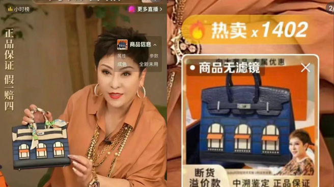 向太直播带货，价值近千万的爱马仕「黑夜房子包」。（翻摄自小红书）