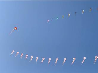 彰化吹起九降風 風箏節登場水母、烏魚子天上飛