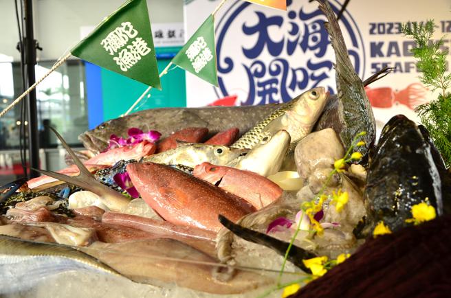 高雄各区鱼货种类丰富多元。（图／高雄市海洋局）