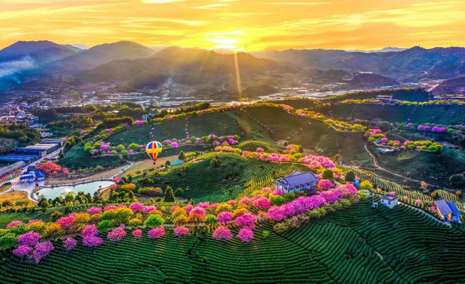 福建漳平台灣農民創業園。（圖／主辦方提供）