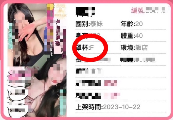 泰籍女子被應召站拍照PO網，以大胸為賣點。（警方提供）