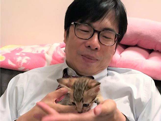 2020年高雄市长补选候选人陈其迈多次在直播上晒爱猫「陈小米」。（取自陈其迈脸书／袁庭尧高雄传真）