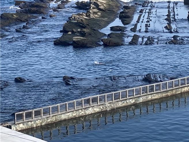 基隆市政府封闭海兴泳池至12月2日，但26日上午却有民眾爬下消波块闯入工区戏水，遭市府会同海巡取缔，市府将开出3万元罚单。（基隆市政府提供／张志康基隆传真）