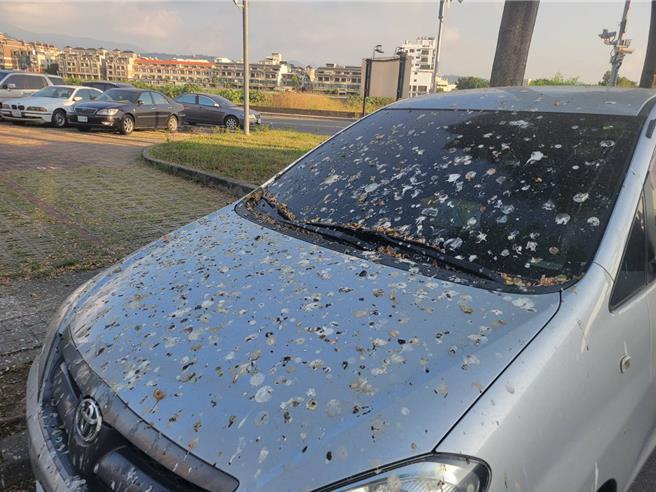 民眾将车停在台中大里十九甲的停车场2天，整车布满鸟屎，议员江和树要求农业局设法改善。（江和树提供／张亦惠台中传真）