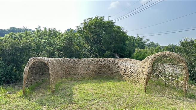 馬頭山自然人文協會將於10月29日舉辦一場別開生面的穿山甲婚禮，馬頭山保育志工連日來砍竹製作竹篾材料，打造一條幾10公尺長的穿山甲「洞房」。（林雅惠攝）