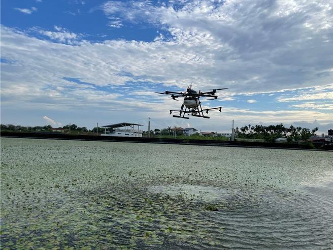 水莲水螟蛾防治新招，无人机喷苏力菌，省工省水兼保育。（高雄市农业局提供／林雅惠传真）