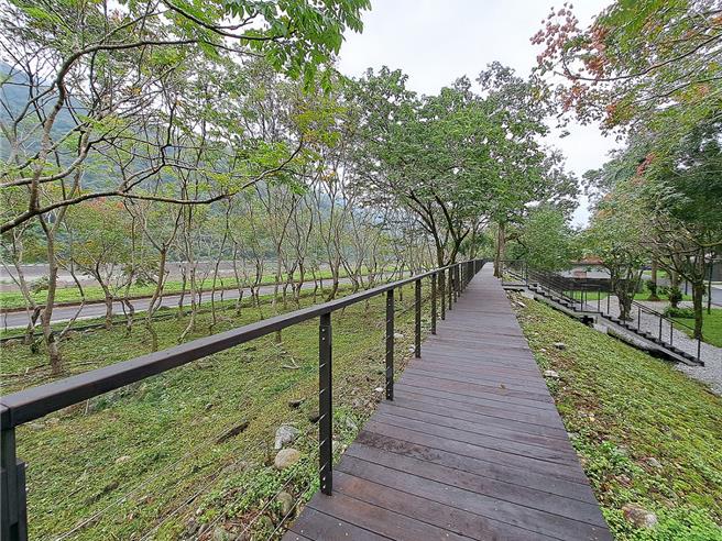 林田山肖楠林下木平台，是遊客休憩賞景好所在。（林業及自然保育署花蓮分署提供／王志偉花蓮傳真）