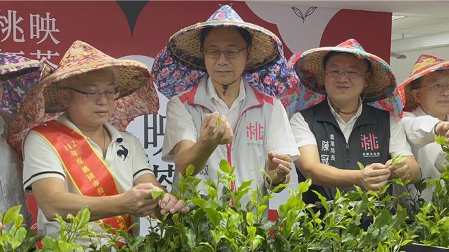 市長張善政（中）、農業局長陳冠義（右）、獲得特等獎的茶農吳金池（左）一同打扮成茶農，體驗如何採摘「一心二葉」的茶葉。（陳夢茹攝）