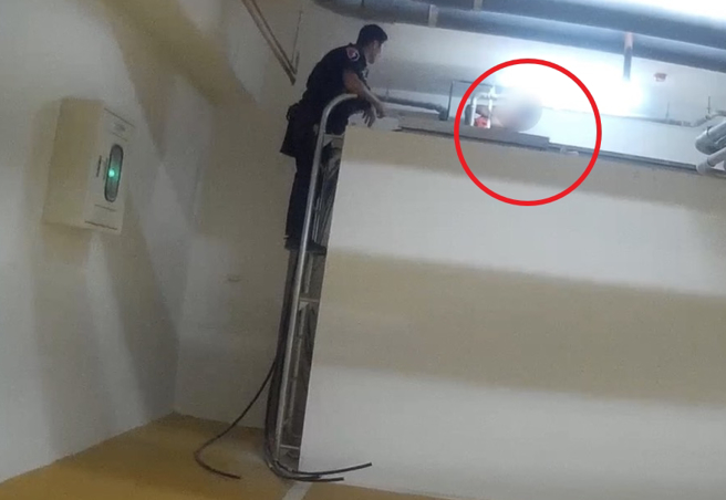 裴男（红圈处）打赤膊躲在蓄水池上方，还是被眼尖的警方发现逮捕。（翻摄画面）