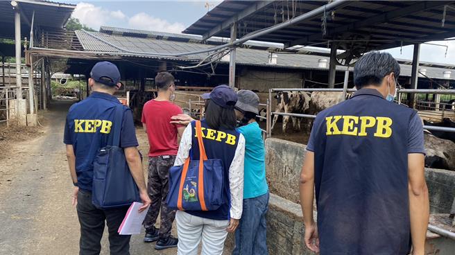 高市府環保局28日派員到樹德科大旁大排沿線稽查，發現燕巢區某畜牧場牛糞露天曝曬，違反廢棄物清理法第36條規定，環保局將對畜牧業者裁處6000元到300萬元罰鍰。（高市府環保局提供／洪浩軒高雄傳真）