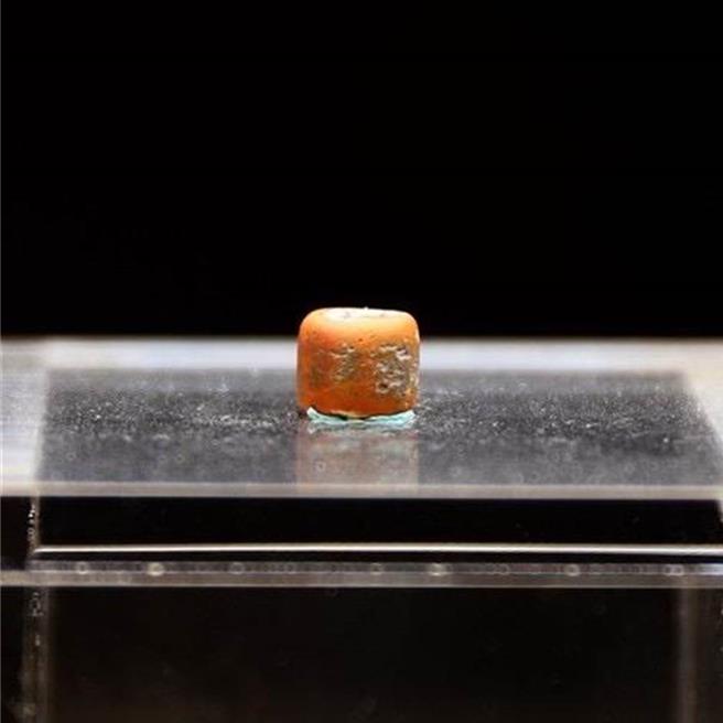 自花蓮縣秀林鄉崇德考古遺址出土且具千年歷史紅色玻璃珠，經美國芝加哥菲爾德自然史博物館（Field Museum）實驗室進行1年研究，發現來源為南亞印度一帶，可謂花蓮史前貿易版圖新發現。（花蓮縣文化局提供／羅亦晽花蓮傳真）