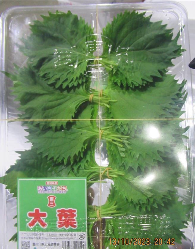 日本进口紫苏叶遭检出农药平硫瑞0.09ppm。（食药署提供）