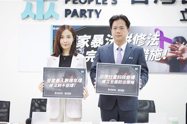 民眾党立法院党团总召邱臣远31日偕党团副主任兼发言人杨宝桢举行记者会。（民眾党团提供）