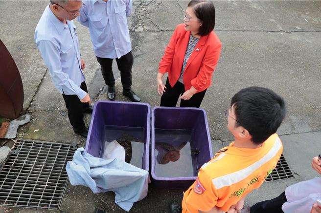 海洋委員會主委管碧玲（右上）於10月30日視察粉鳥林安檢所並探視兩隻綠蠵龜。（摘自管碧玲臉書／林瑞益高雄傳真）
