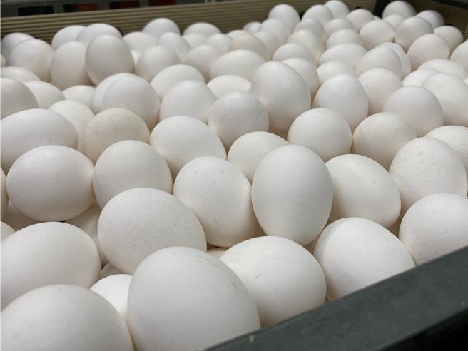 今（31）日台北市蛋商公会证实，由于鸡蛋市场稳定，本周四起蛋价再降3元，批发价将调降为50元。（李柏澔摄）