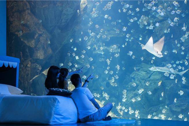 受到亲子客喜爱的眠旅体验「宿海奇遇Blu Night」，推出「Blu Night岛屿梦游」行程，入住享有一泊三食及欣赏海底世界，旅展限定1张4999元。(国泰饭店观光事业提供)