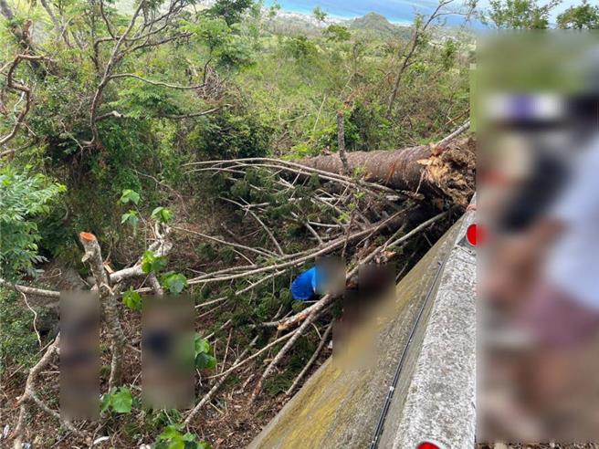 2外籍游客骑机车游恒春不慎出车祸，所幸女骑士滑出边坡时，因被颱风扫倒的树干挡住而未有大碍，2名外籍游客都只受轻伤，酒测值都为零。（警方提供／谢佳潾屏东传真）