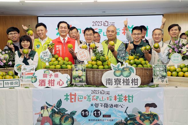 台南白河着名的南寮椪柑进入盛产期，白河区公所1日在市府永华市政中心举行「2023白河柑巴嗲爬山採椪柑x关子岭酒柑心」宣传记者会，预告活动将于11日在关子岭岭顶资讯站前广场登场。（市府提供／洪荣志台南传真）