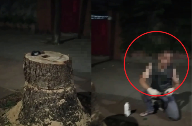 男子並未經管理單位許可就鋸樹，被警方依法偵辦。。（翻攝畫面）