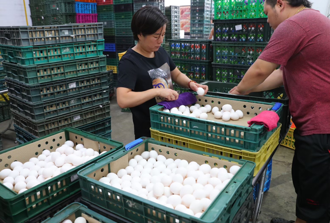 虎尾高级农工职业学校畜产保健科教师陈瑞南指出，清洗蛋壳最好不要浸泡或用冷水，恐让微生物和细菌经由蛋壳上的气孔进入蛋内。（图／示意图，记者季志翔摄影）
