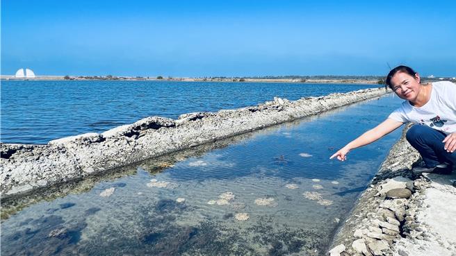 台南將軍區青鯤鯓販售火燒蝦乾的業者陳麗秋，日前帶著親友看「生命之樹」時，發現在台南非常罕見的倒立水母。（張毓翎攝）