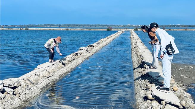 台南將軍區青鯤鯓扇形鹽田出現倒立水母，不只在地人，遠從外地來的遊客也很驚喜。（張毓翎攝）